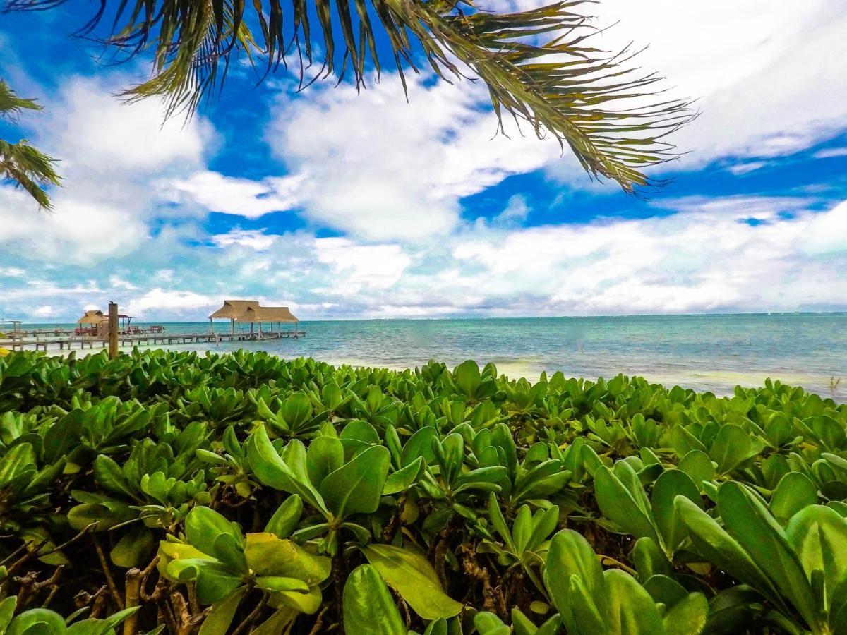 Punta Me Beach Suites Канкун Экстерьер фото